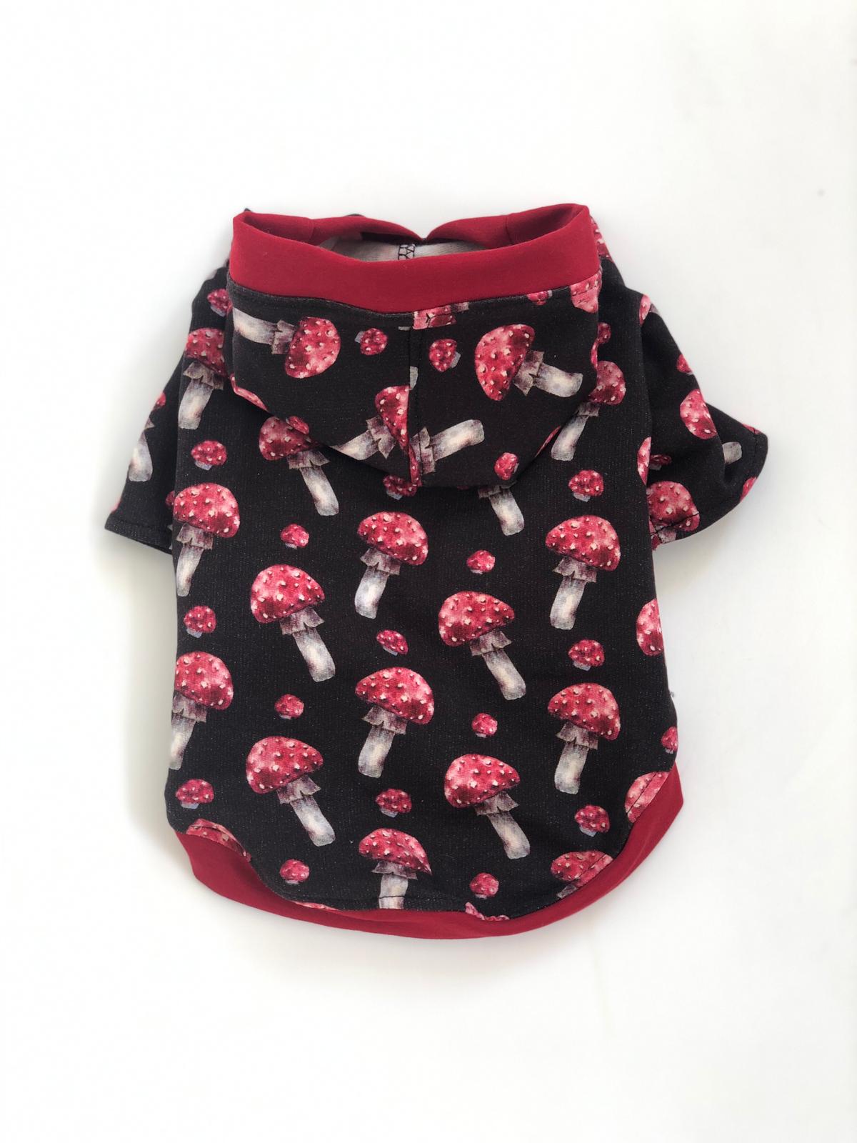 3U9A44961648253016962 (1)