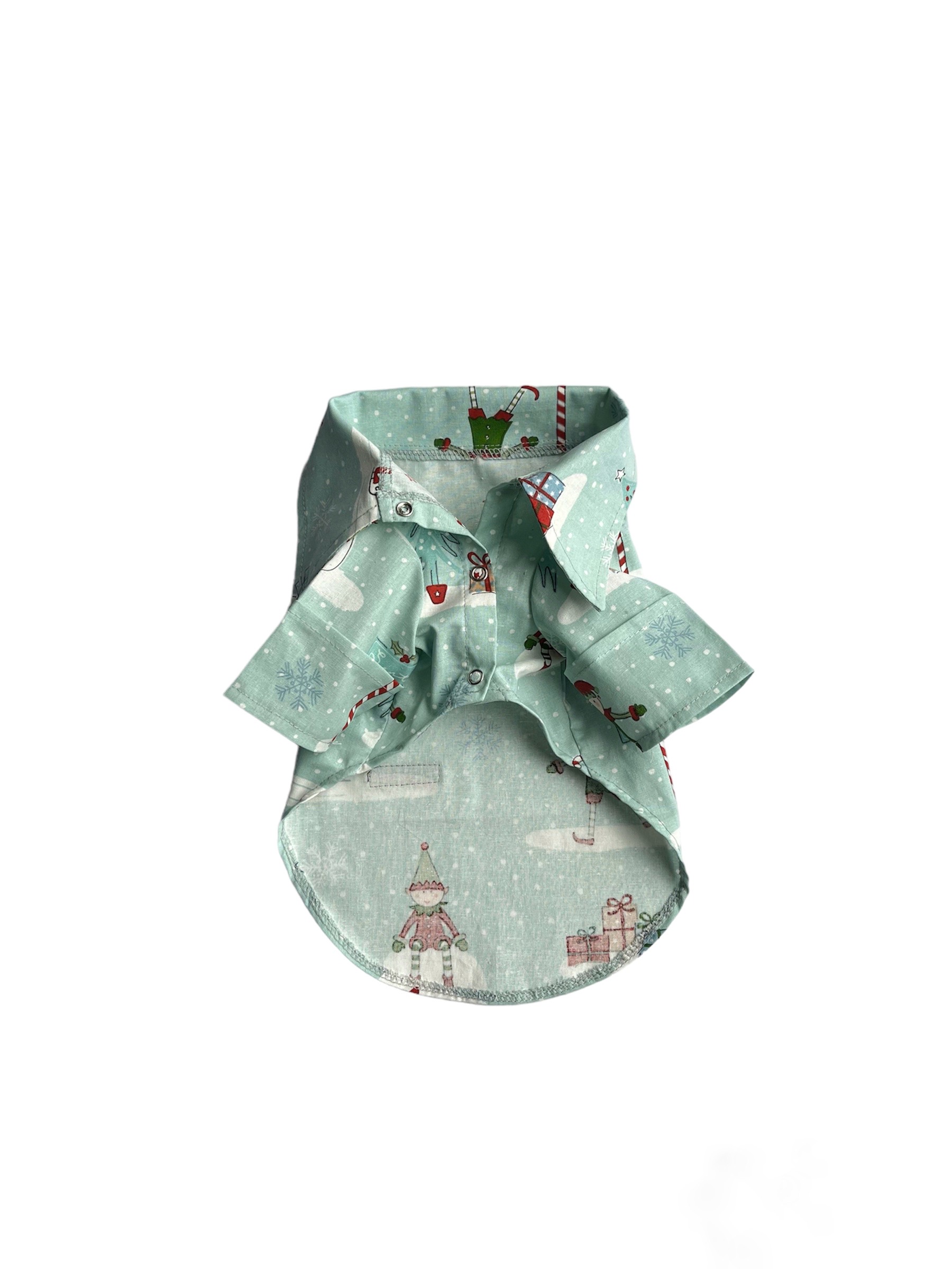 PhotoRoom_20231221_203339